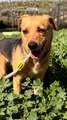 GUS Image 1